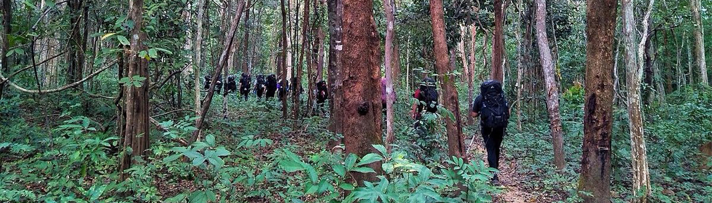 Cambodia Jungle Trekking