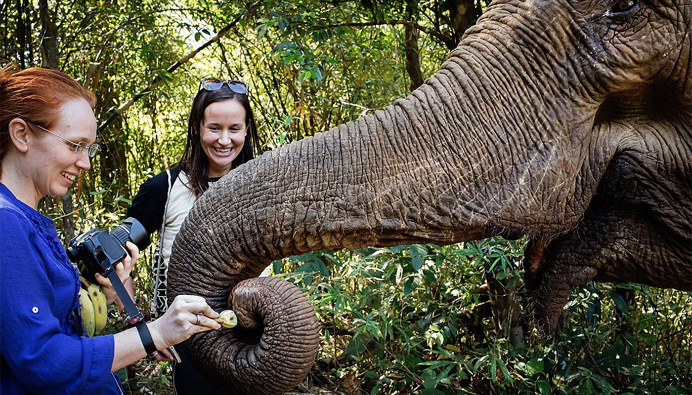 Mondulkiri Elephant Sanctuary Mondulkiri Elephant Sanctuary