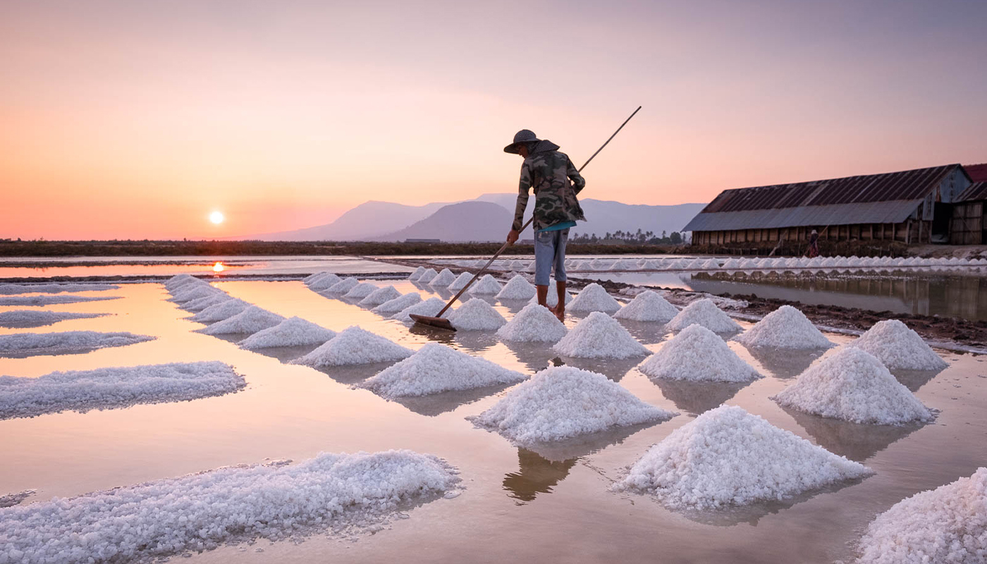 Salt Fields Kampot
