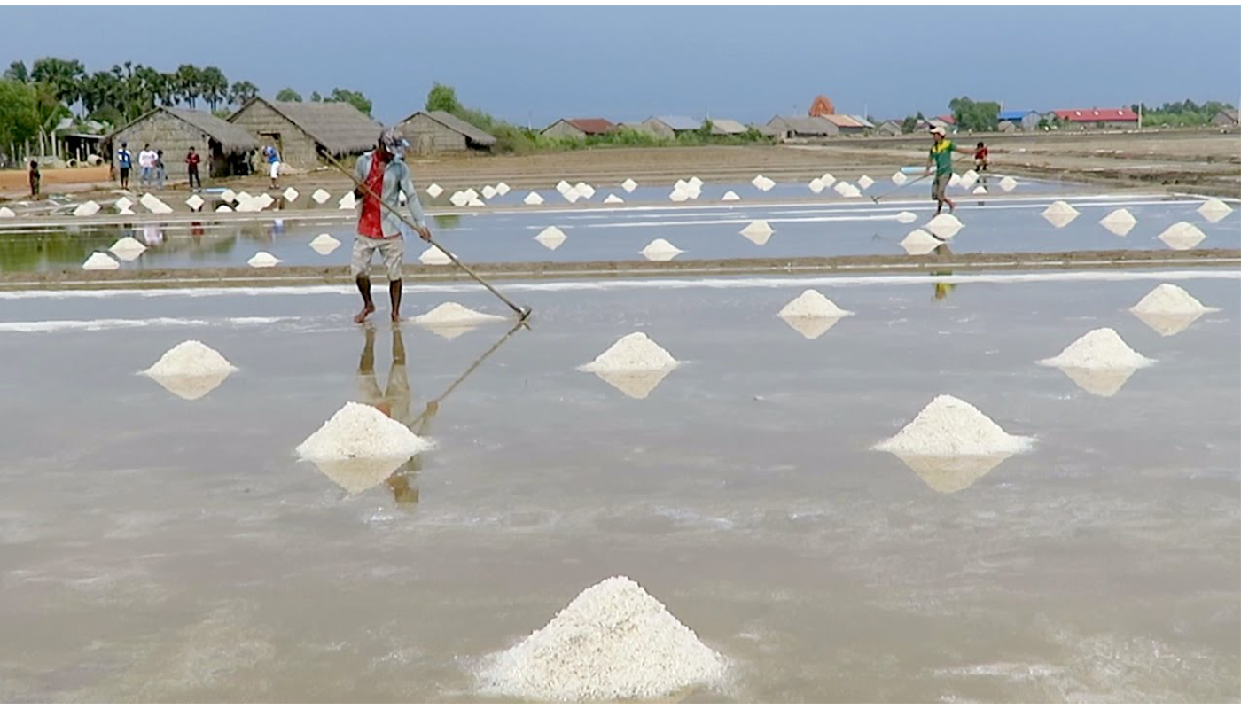 Salt Fields Kampot