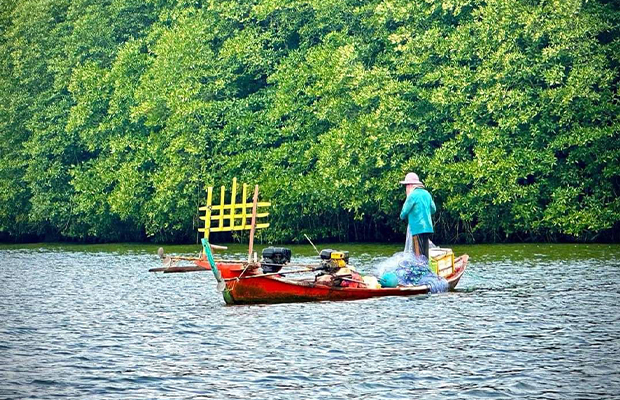 Ream National Park Mangrove Tour