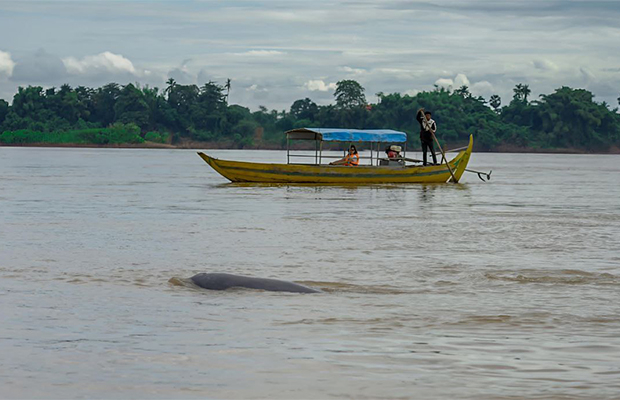 Kratie, Irrawaddy Dolphins, Traditional Rice Products, 100 Pillars Pagoda, Full Day Private Tour