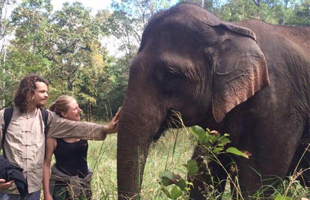 Elephant Trek in Mondulkiri at the Bunong Elephant Sanctuary