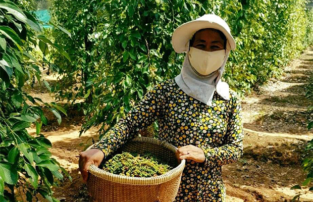 Kampot and Around Half Day Private Tour