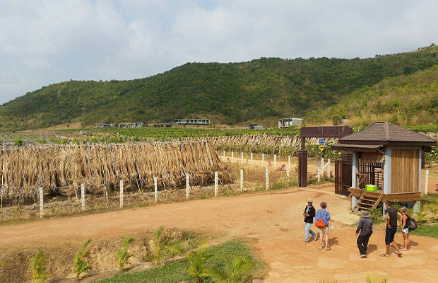 Kampot and Around Half Day Private Tour