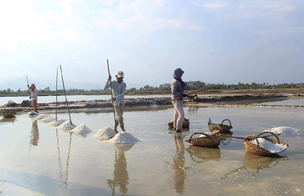 Half Day Private Tour of the Kampot Countryside