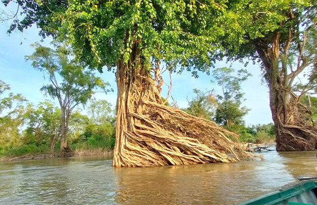 Five Day Private Tour Exploring the Mekong River