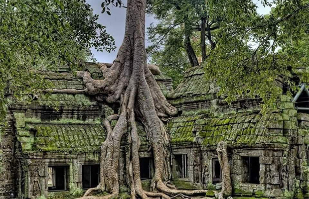 Ta Prohm Temple