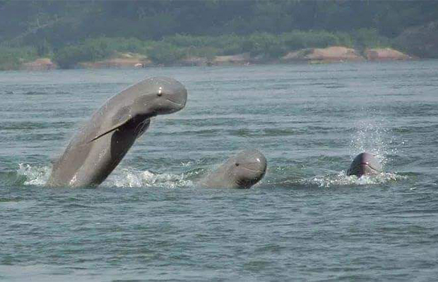 12 Day Private Tour of Cambodia